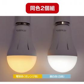 （同色2個組）／停電しても消えない電球「tsuita」