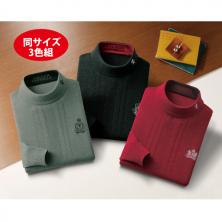 〈サルーン・エクスプレス〉刺繍入りハイネックセーター（同サイズ3色組）