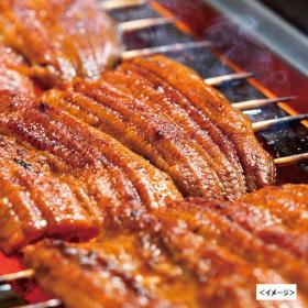 浜名湖産うなぎ蒲焼（２尾セット）