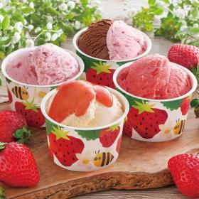 博多あまおうのこだわりアイス（４種９個セット）