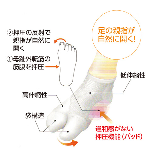 Jaf通販 通販紀行 外反母趾対策くつ下 同サイズ2色組